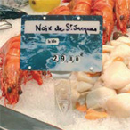 Prijsdisplays houders